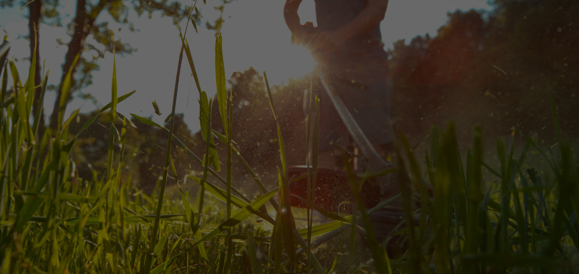Lawn and landscape services in Minnetonka