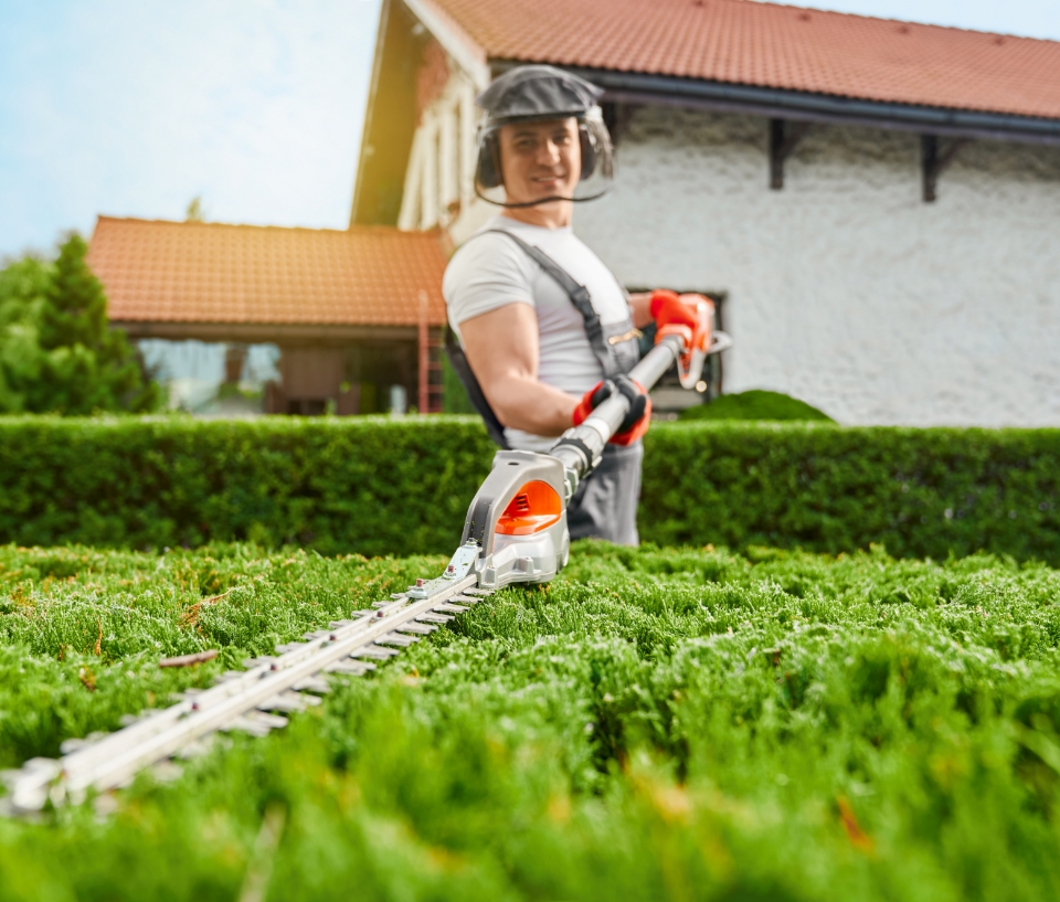 Lawn and landscape services in Minnetonka